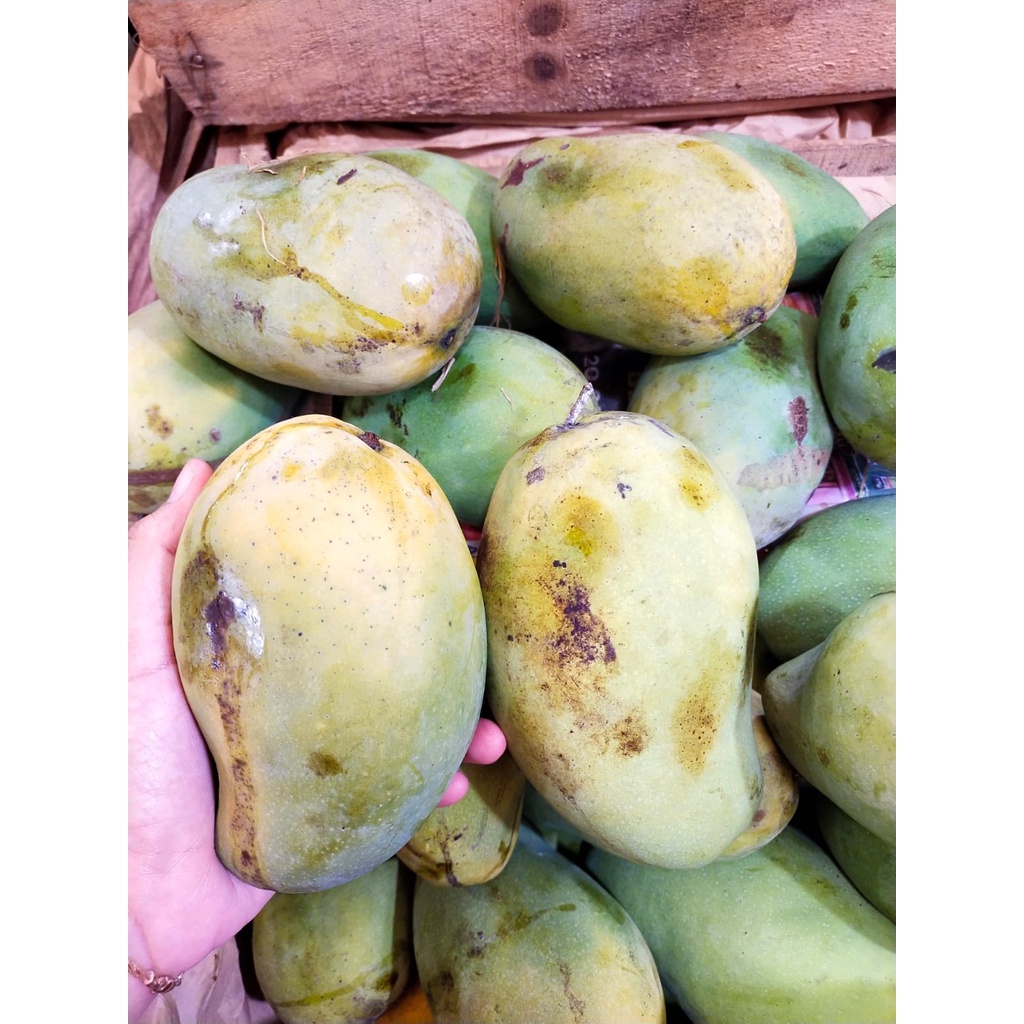 Jual Mangga Harum Manis 1kg Shopee Indonesia 