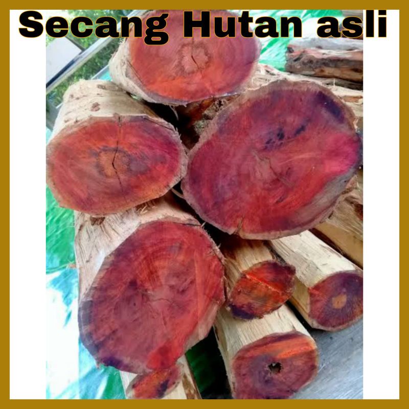 Kayu Secang asli Kering Batangan hutan 1 kg Siap pakai