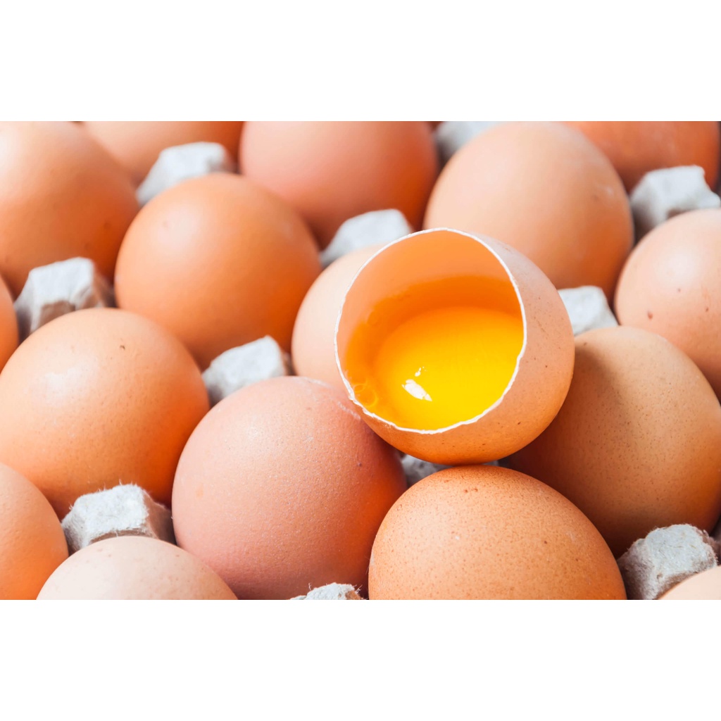 

PASAR SEGAR - TELUR OMEGA / TELOR OMEGA