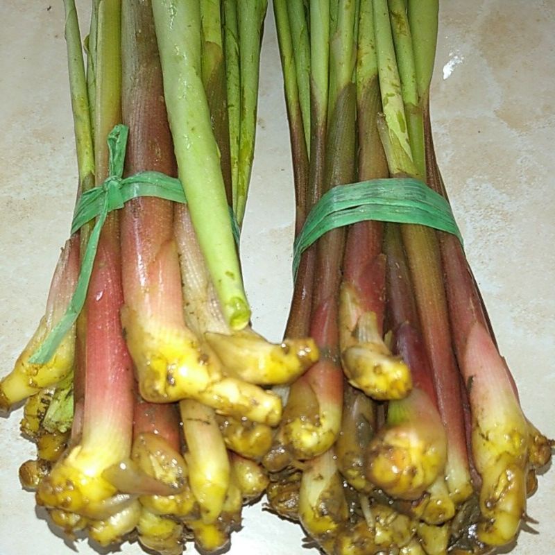 

Sayur Boros segar ikat 200 gram