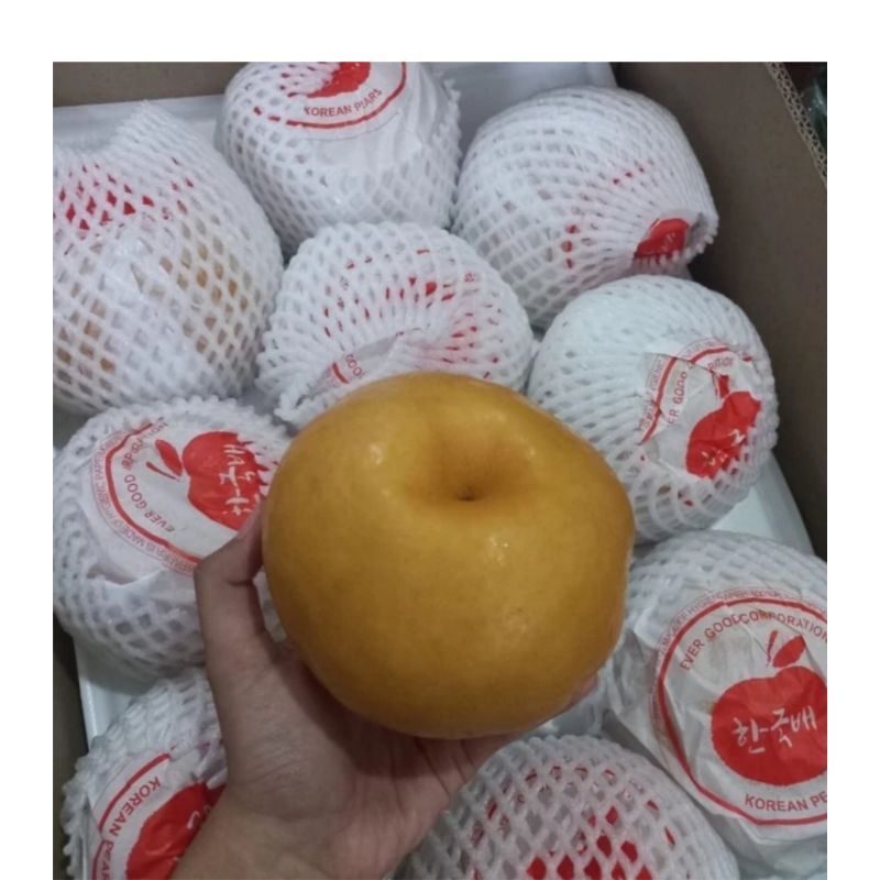 

Pear korea singo super jumbo original manis | 1 pcs