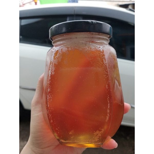 

Madu Hutan / Madu Sialang Asli