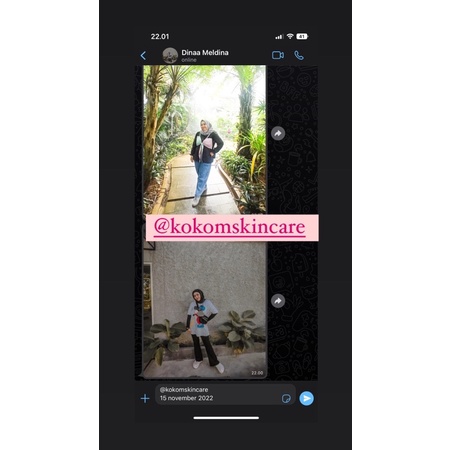 obat diet herbal AMPUH