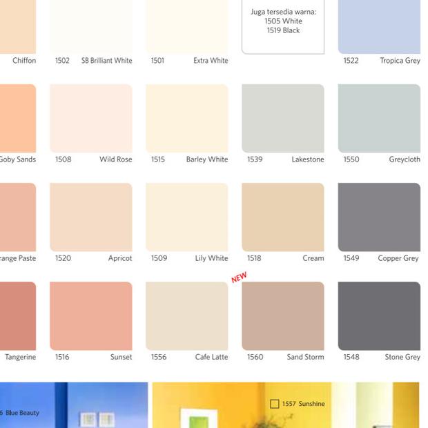 QLUC 5kg nippon paint