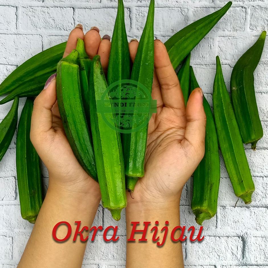 

ヤ SAYUR SEGAR - OKRA HIJAU / OKRA MERAH べ