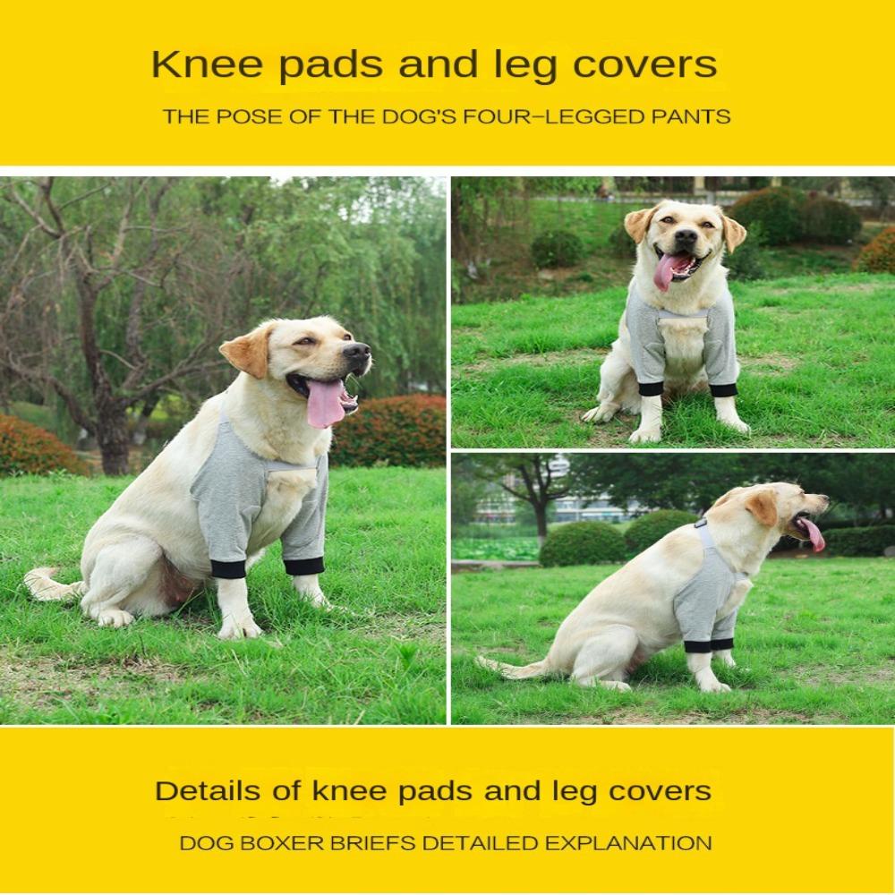 Alat Perawatan Pelindung Siku Anjing Nanas Canine Elbow Sleeves Pain Relief Dogs Shoulder Support