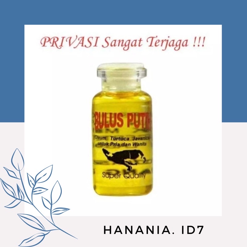 MINYAK BULUS ORIGINAL / MINYAK BULUS PUTIH ORIGINAL