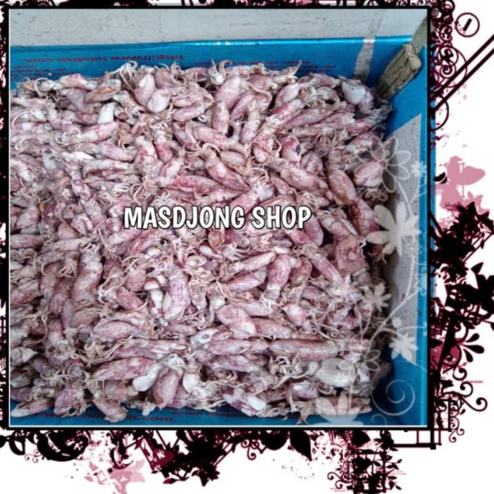 

CUMI ASIN BABY SIZE (2-4cm)(1000gr/1kg).