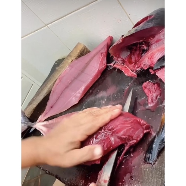 

ikan tuna sisik