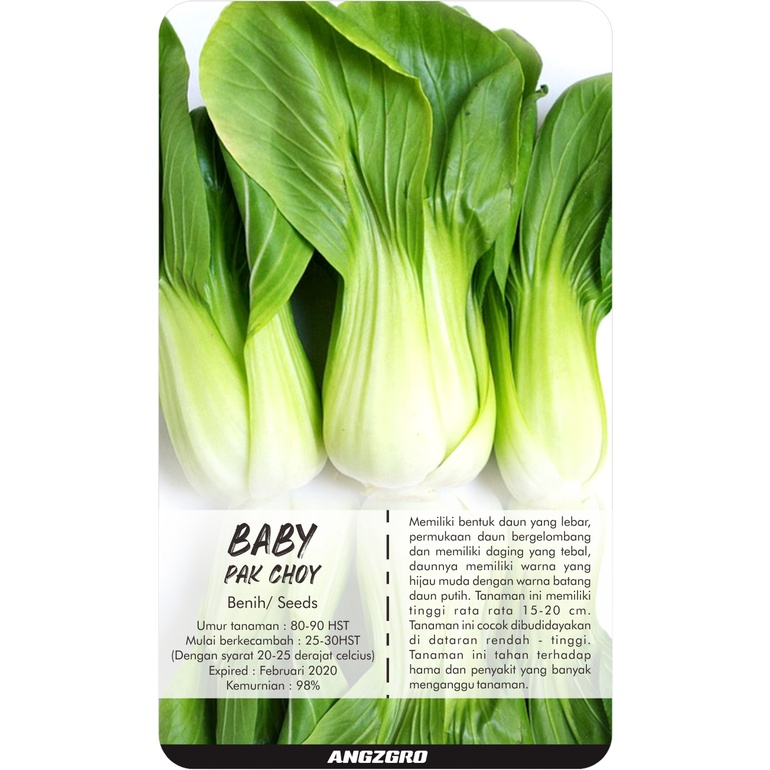 

ANGZGRO Baby Pak Choy 1000 Seeds