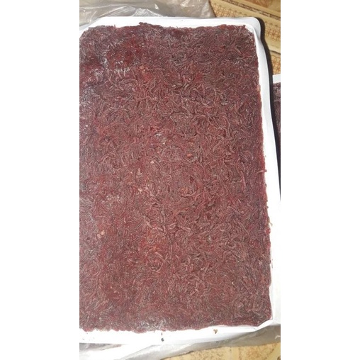 CACING DARAH BEKU (CABEK)