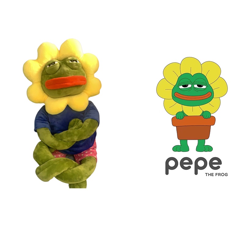 Enjoy Hugs And Fun With Pepe Si Kodok 80cm Mainan Mewah