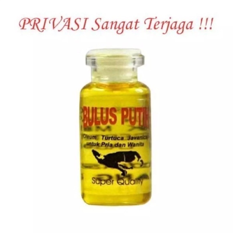 MINYAK BULUS ORIGINAL / MINYAK BULUS PUTIH ORIGINAL