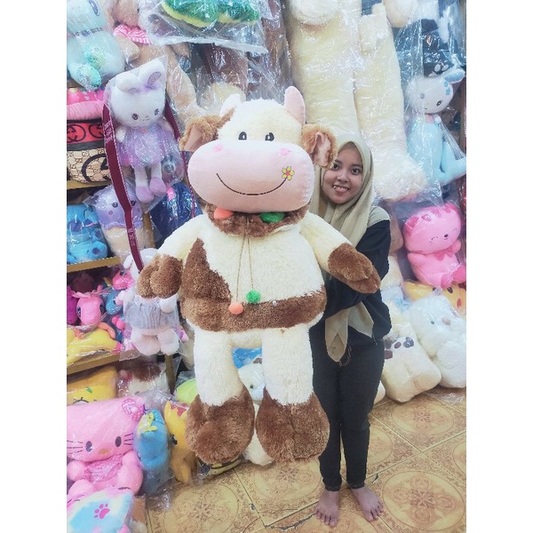 SAPI UMUT SAPI JUMBO SAPI KWALITAS PREMIUM SAPI IMPORT SAPI LUCU