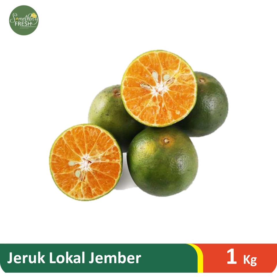 Jual Jeruk Jember Lokal Per Kilo Jkt Shopee Indonesia