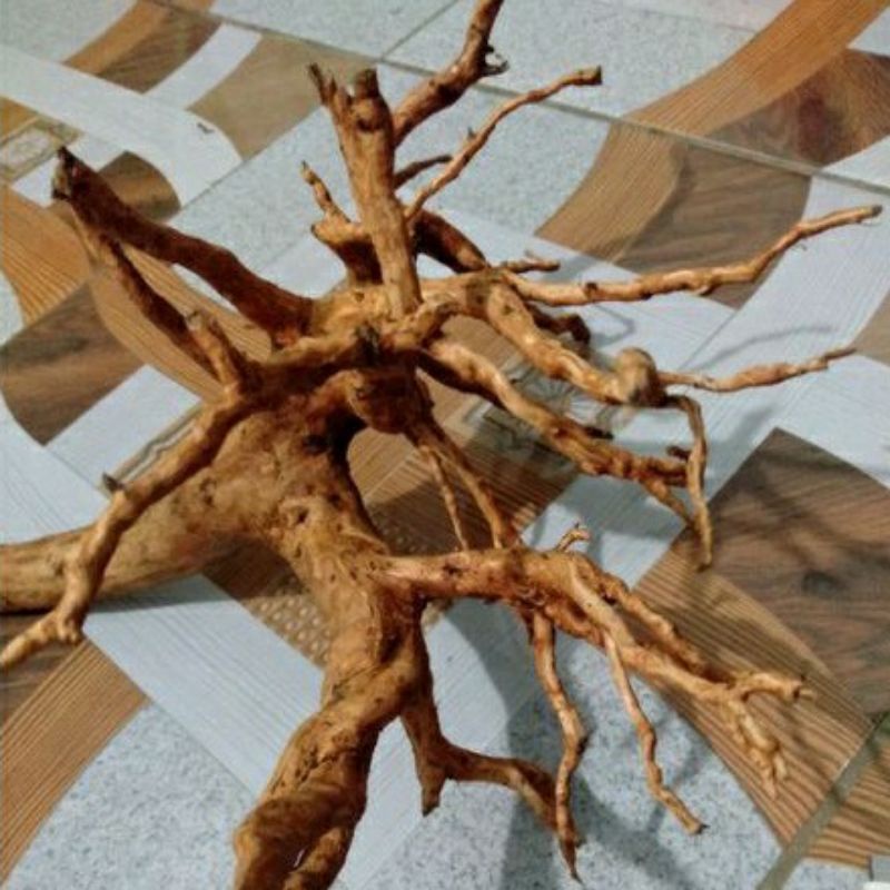 kayu rasamala ukuran jumbo,xl,L,m,s kayu rasamala aquascape dan aquarium