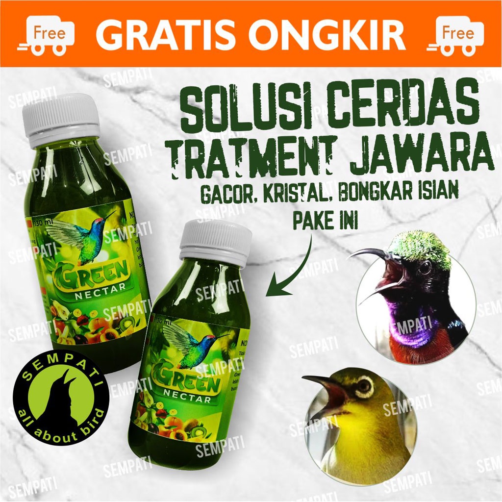 GREEN NECTAR SEMPATI MADU SARI NEKTAR HIJAU PAKAN BURUNG KOLIBRI PLECI SUN BIRD CUCAK KONIN GRNKTR