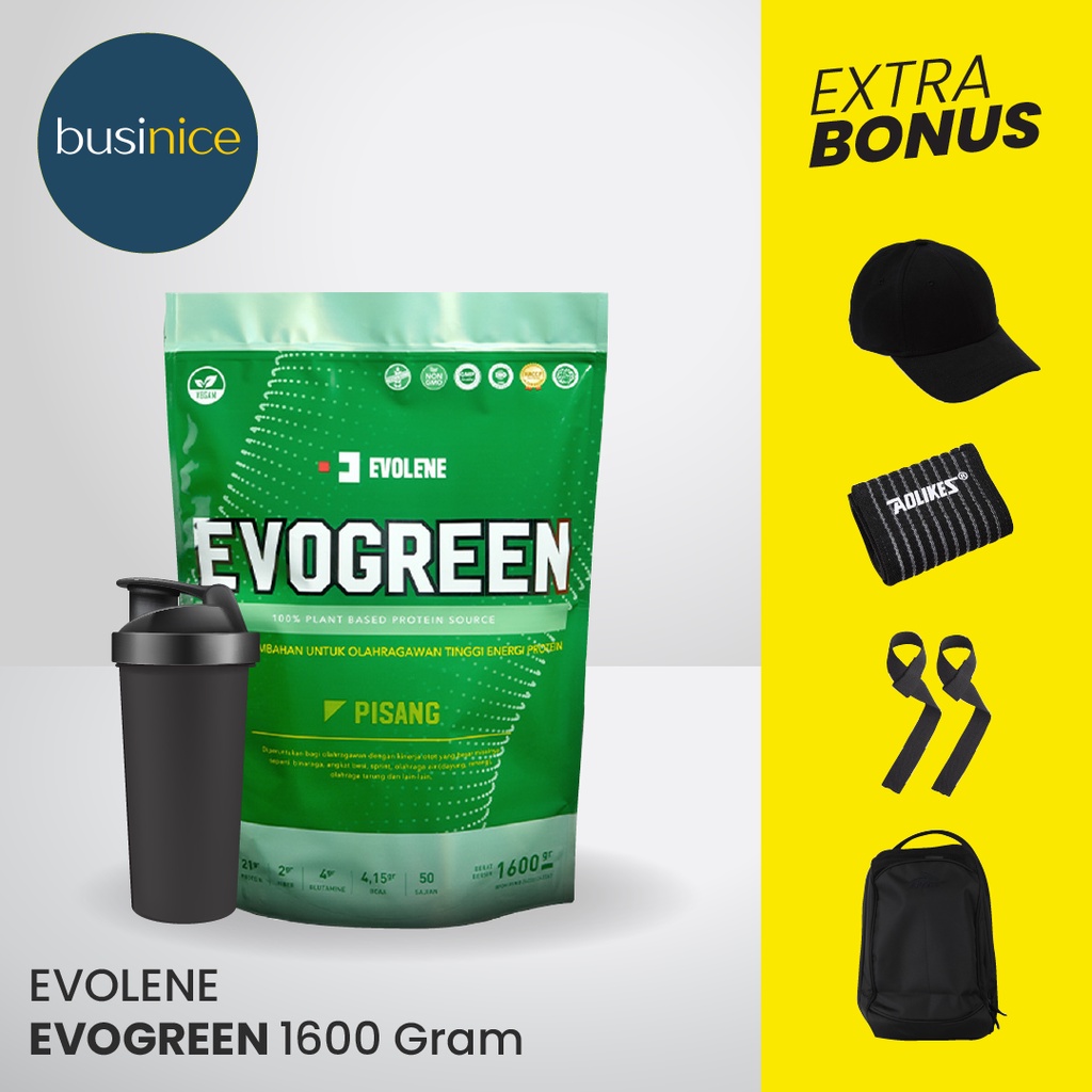 Evolene Evogreen 50s Plant Based Protein Vegan Whey Protein