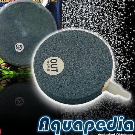 Air Stone/Batu Aerasi Bulat Pipih 15 cm