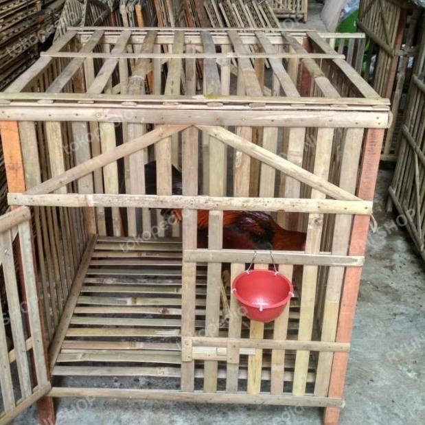 kandang bambu ayam bangkok - V.1