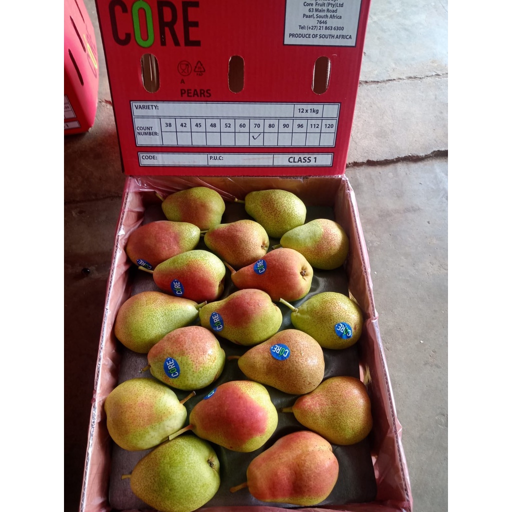 

Buah Pear Forello Import 1kg