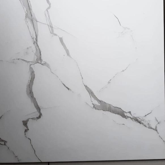 granite tile 60 x 60 glazed Engress carara white
