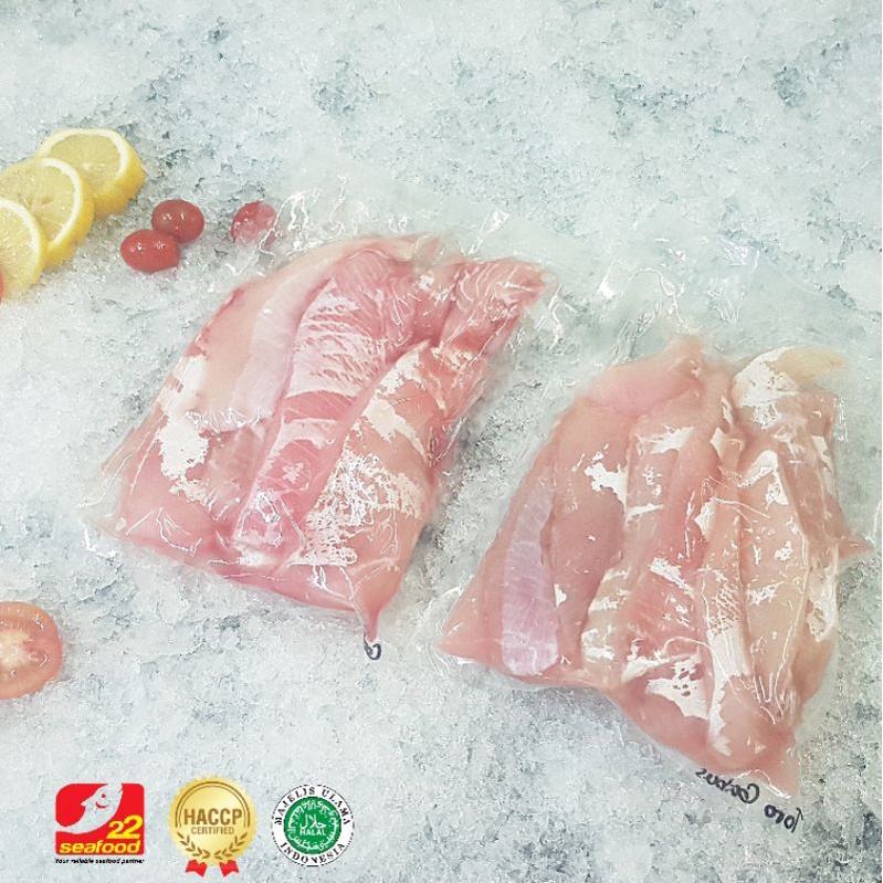 

Ikan Gabus Belly 500 gr / Gabus Laut Cobia / Seafood 22
