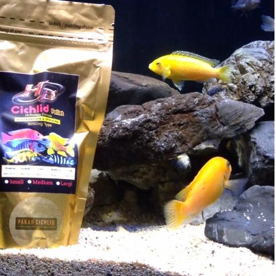 [PAKAN CICHLID] Pelet Ikan HD CICHLID sinking (tenggelam) 250 gr