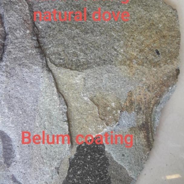 Coating batu alam Protex one clear doff