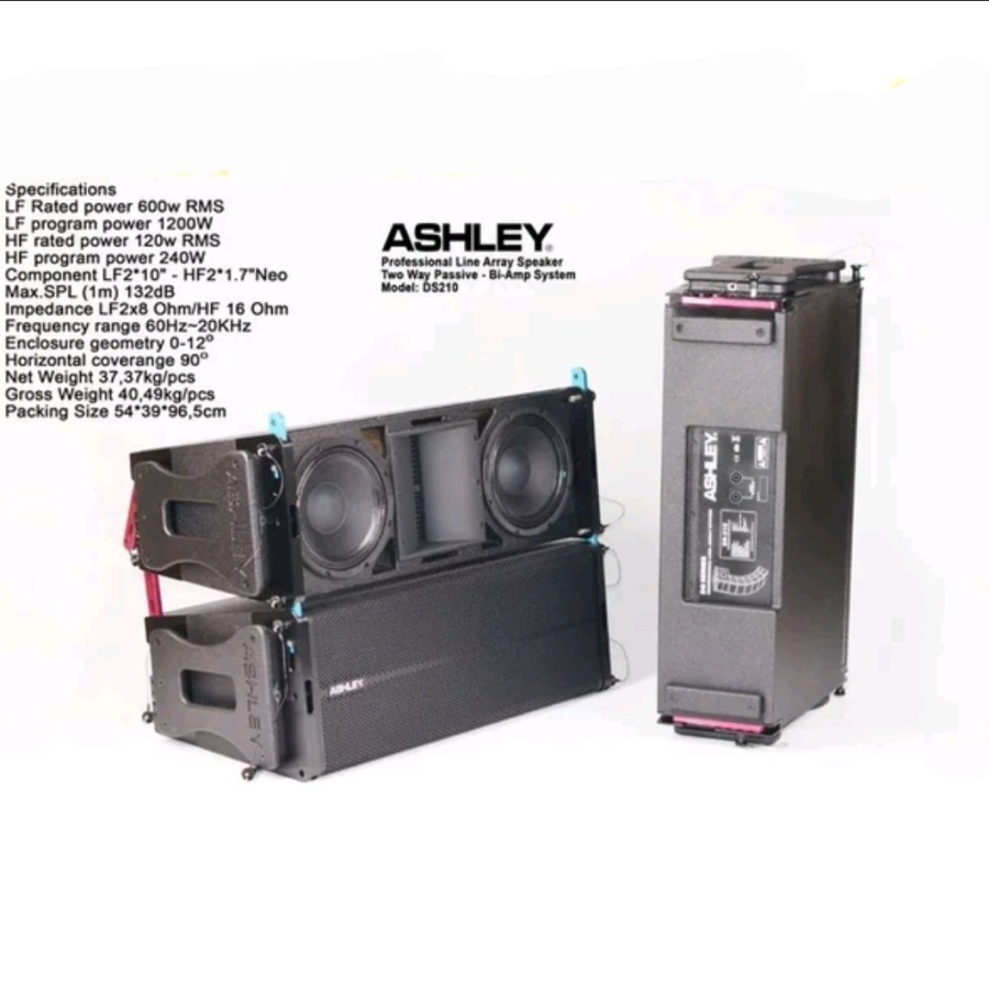 Speaker Line Array ASHLEY DS210 Pasif 2way 10inch