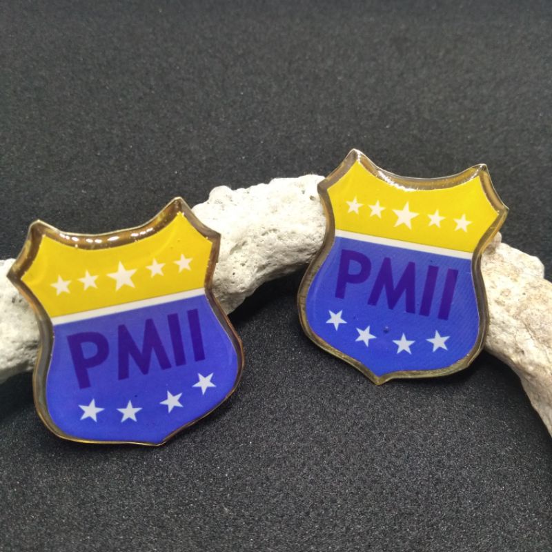 PIN/Bros PMII
