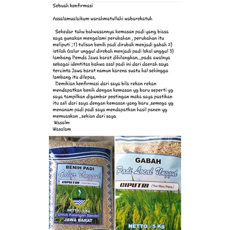 Benih Padi terbaru BIMA SAKTI 5 kg ORI