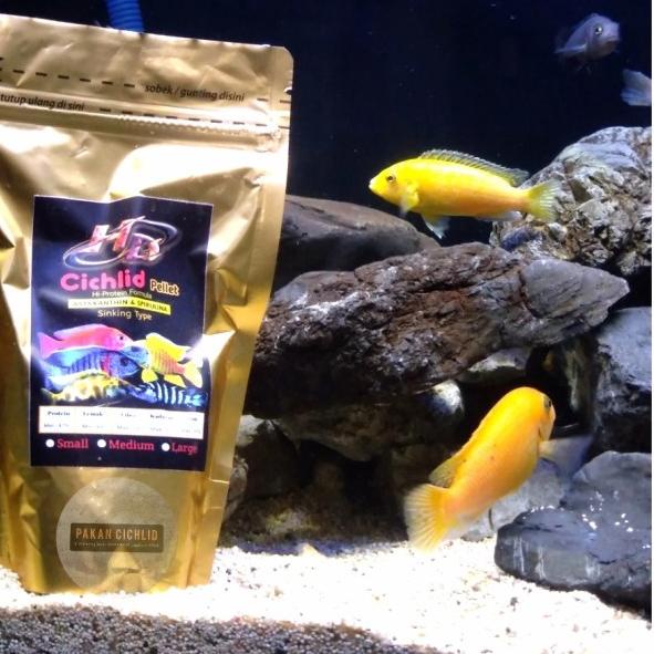 [PAKAN CICHLID] Pelet Ikan HD CICHLID sinking (tenggelam) 250 gr