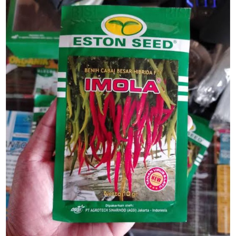 Benih cabe IMOLA F1 10 GRAM