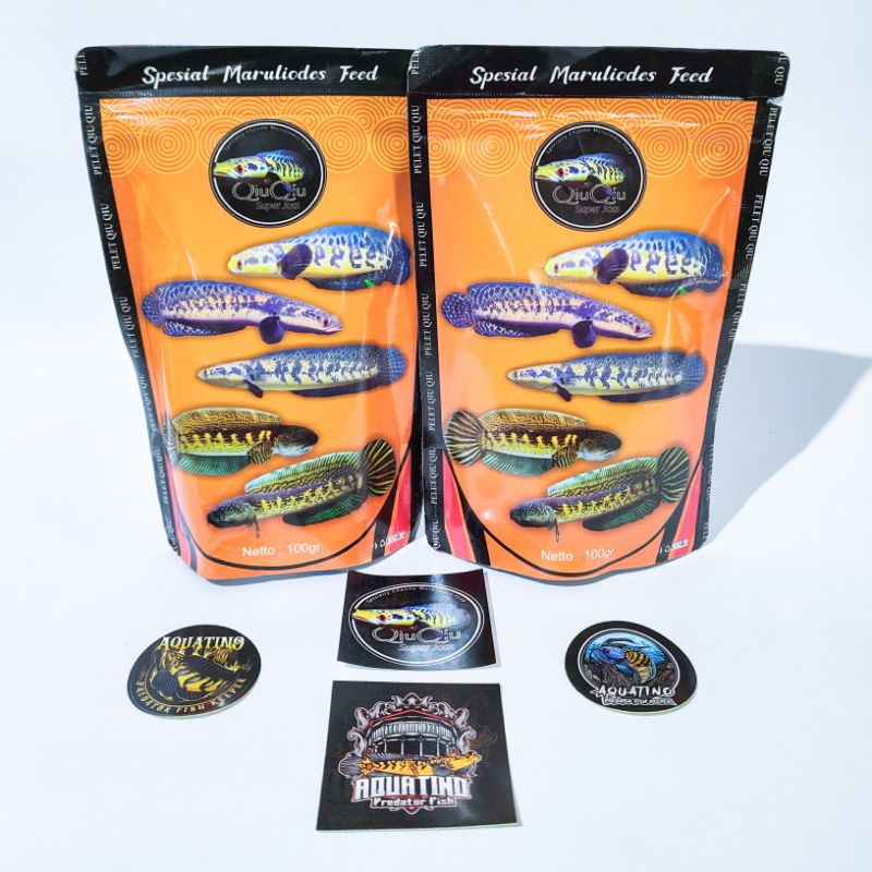 PELET QIUQIU JOS SPECIALLY CHANNA MARULIOIDES