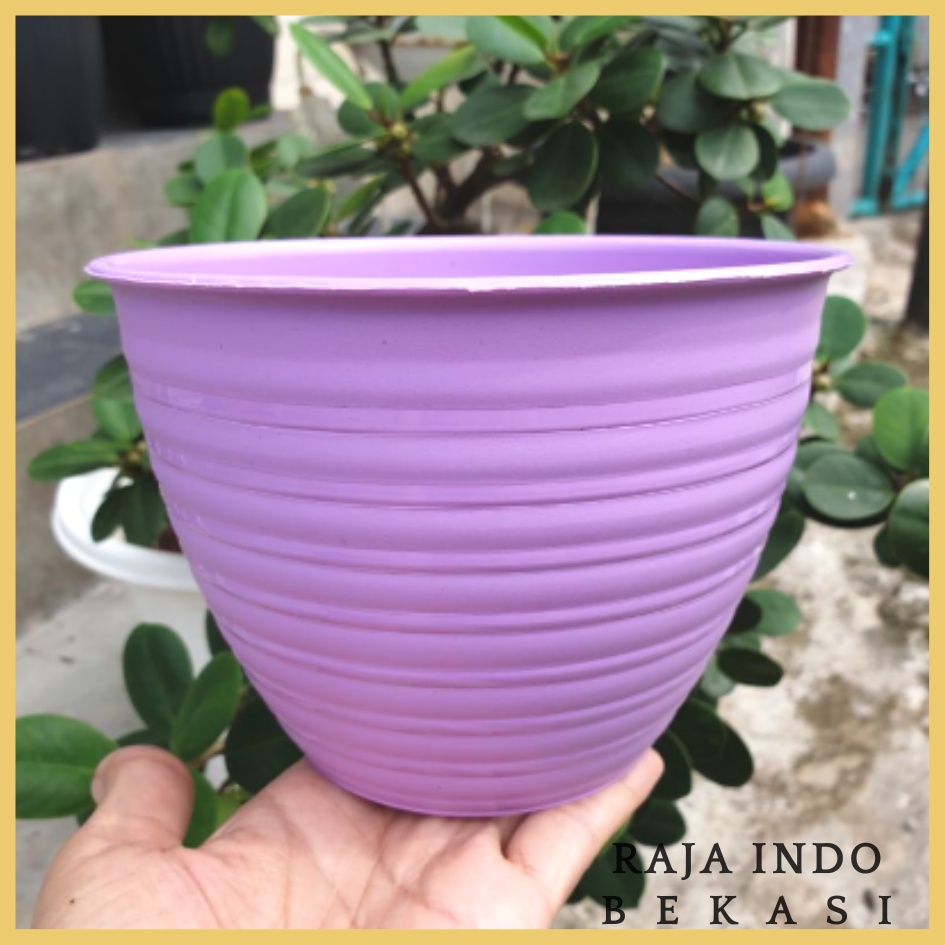 TERMURAH MDN TAWON 15 (15cm) pot bunga model tawon putih dan warna warni GROSIR