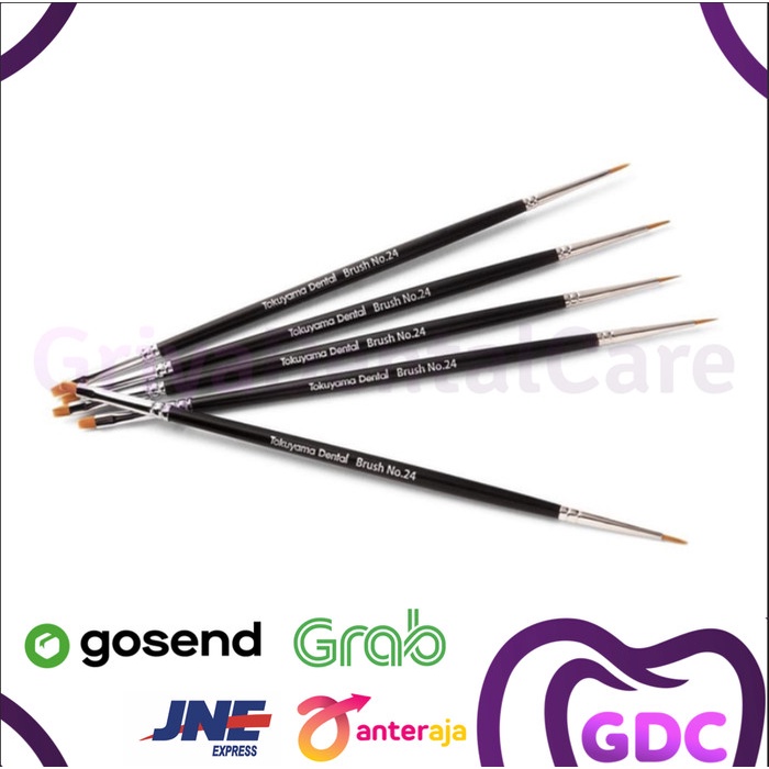 Brush Applicator Kuas Tokuyama Brush No . 24