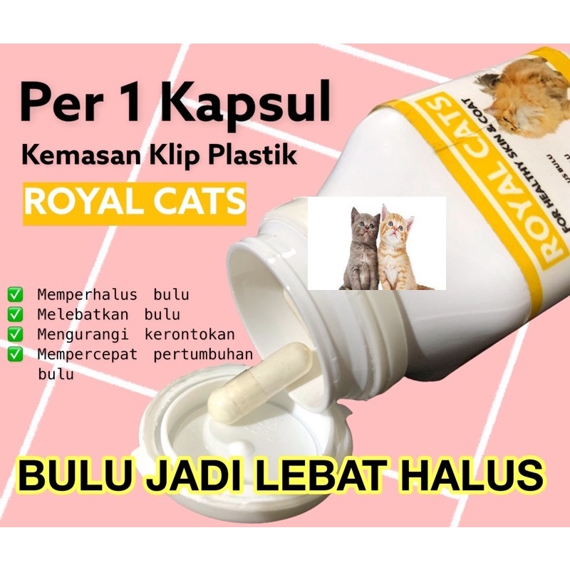 Royal Cats Healthy Skin and Coat Vitamin Bulu Gondrong dan Kulit Kucing