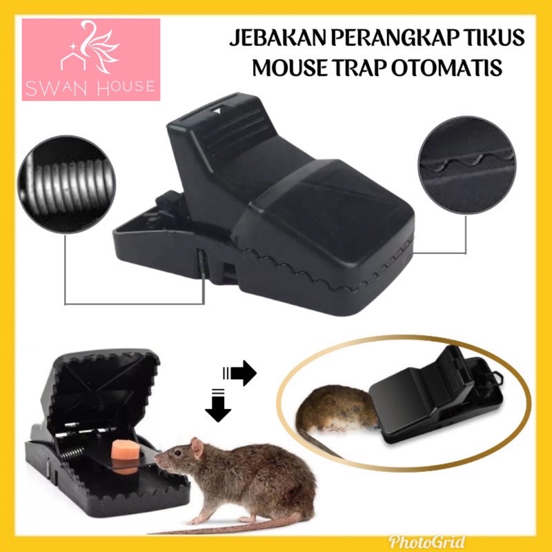 Jual Alat Jepit Tikus Kuat Perangkap Tikus Super Trap Tikus Jepitan Tikus H26 Shopee Indonesia 8226