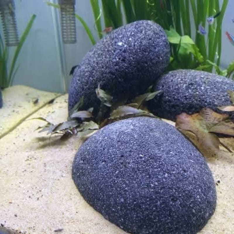 Jual River Stone Batu Kali Bulat Besar Aquascape Terrarium