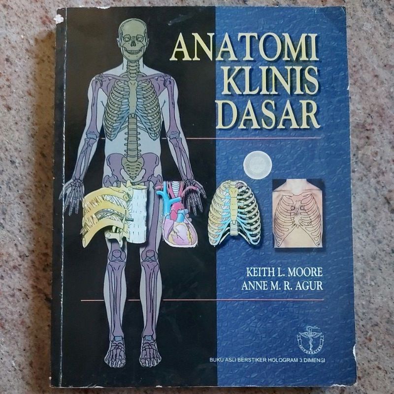 buku kedokteran anatomi klinis dasar