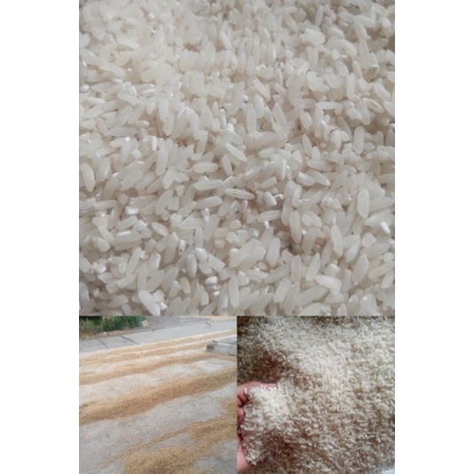 

beras pulen beras 64