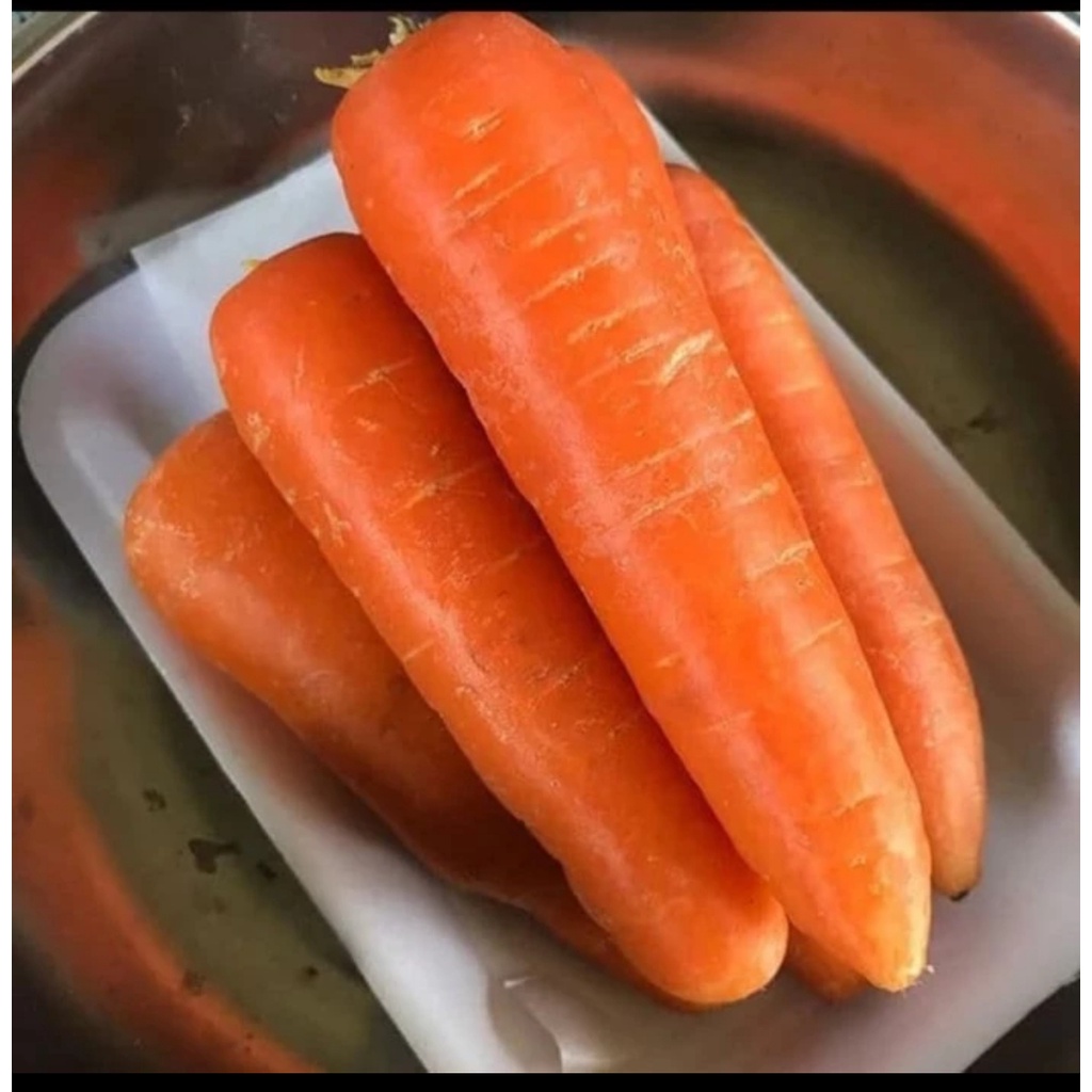 

WORTEL BRASTAGI IMPOR SAYUR SAYURAN /buah