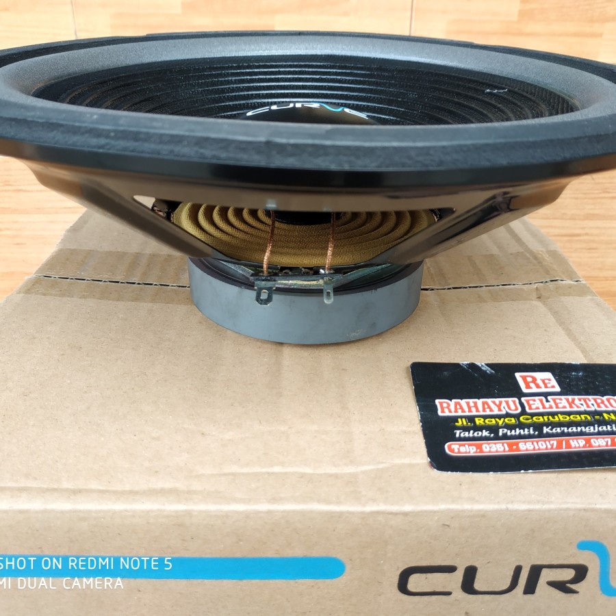 Speaker 10&quot; 10 inch CURVE 25H100SUWPP Woofer 300Watt