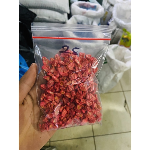Benih bibit jagung manis paragon repack