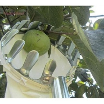 

Dijual Alat Petik Buah / Pemanen Buah - Fruit Picked Berkualitas