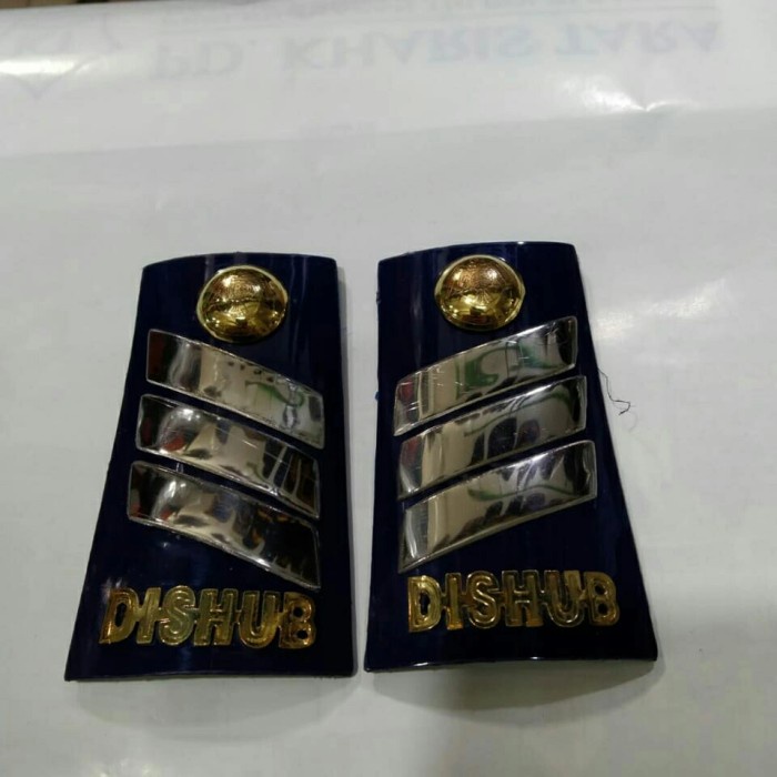 Pangkat Dishub Honorer Braso S1