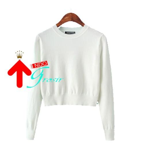 JAKET SWEATER HOODIE CROP POLOS SETENGAH BADAN POLOS