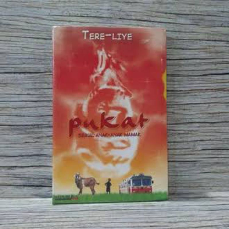 Tere Liye-Pukat
