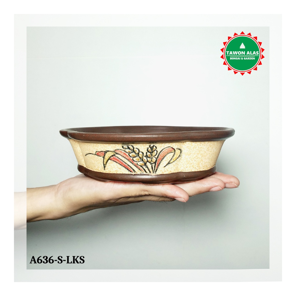 Pot Bonsai Keramik Bonsai Kecil